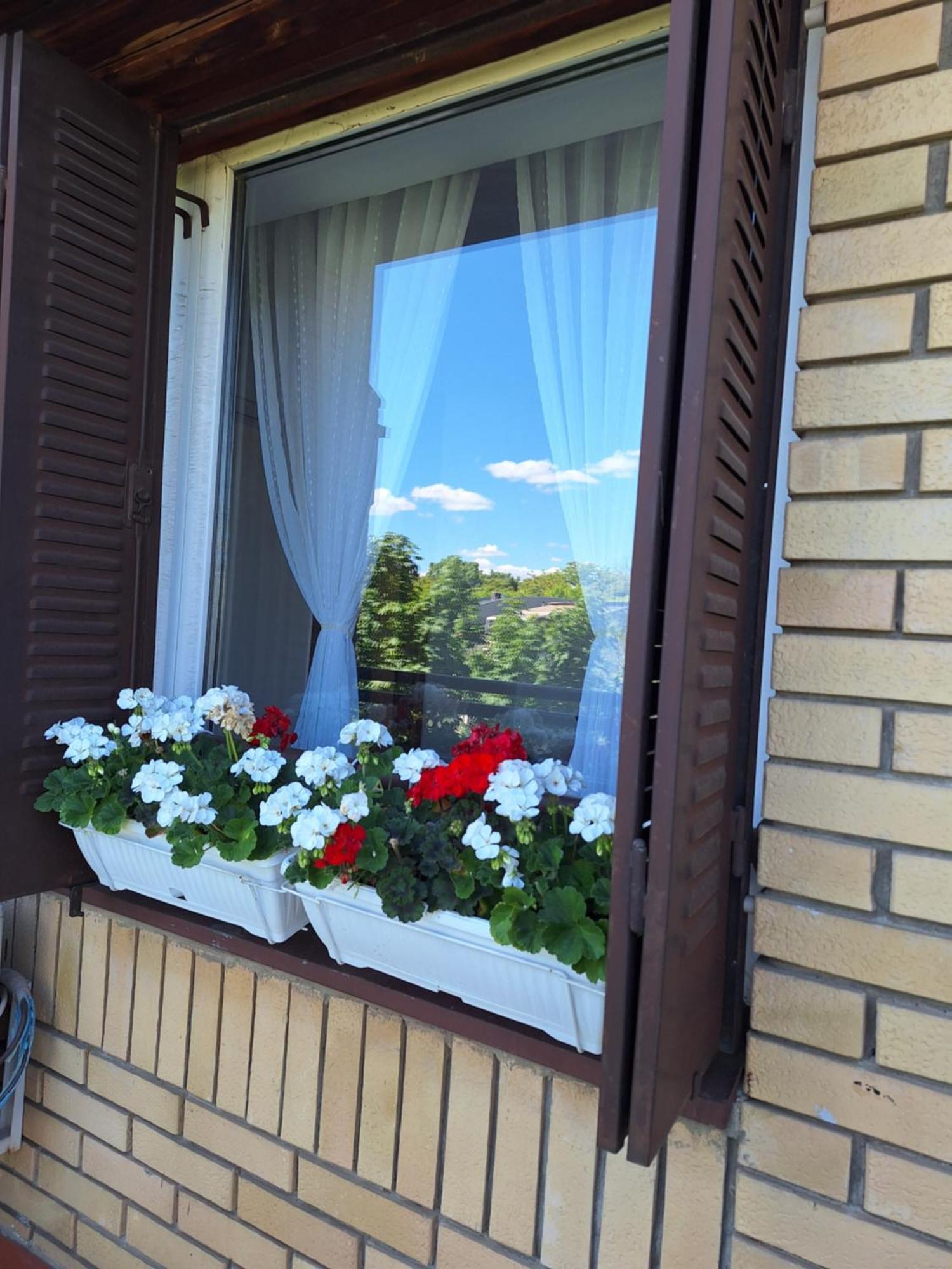 Rivijera Green Belgrad Exterior foto