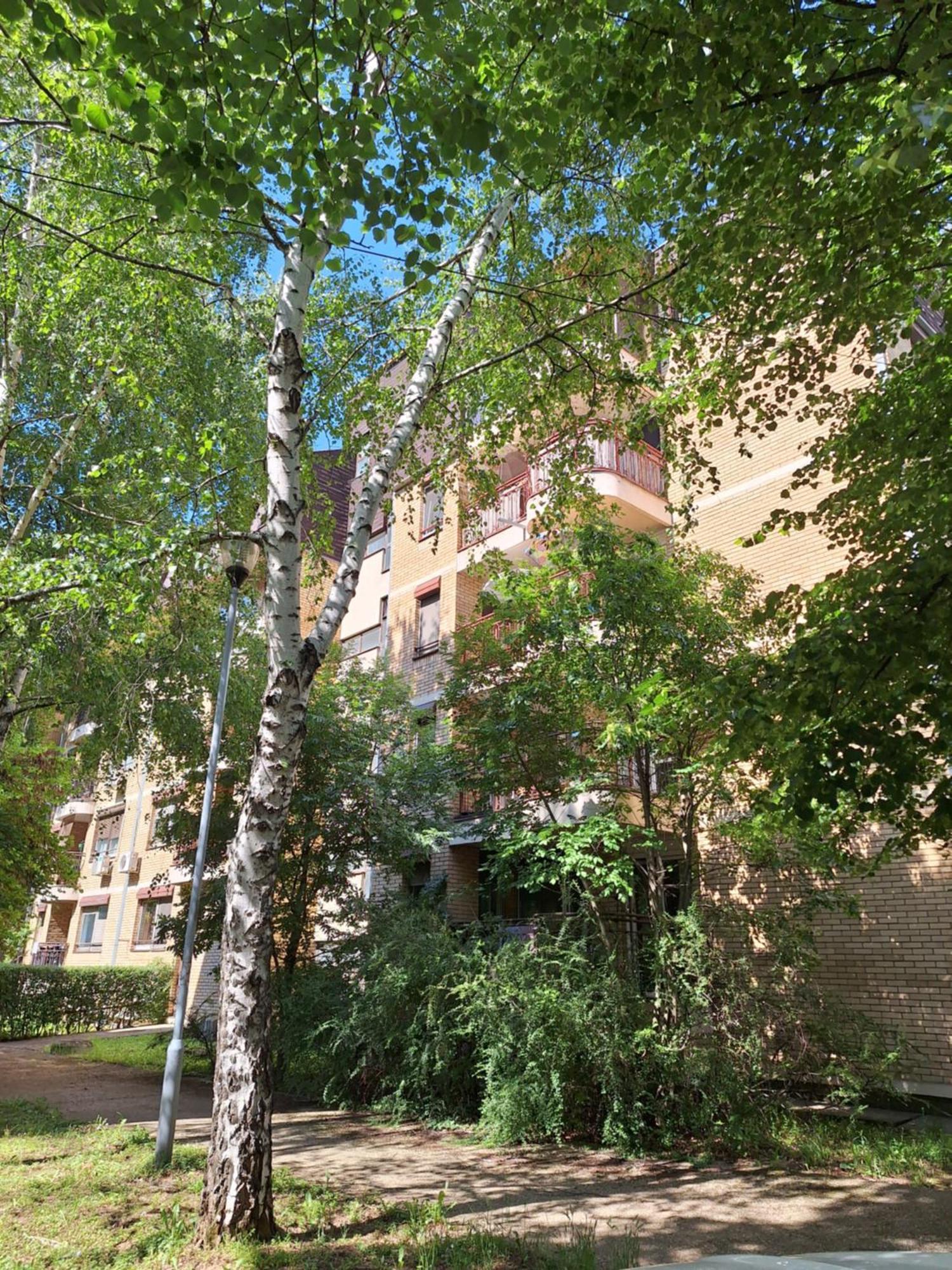 Rivijera Green Belgrad Exterior foto