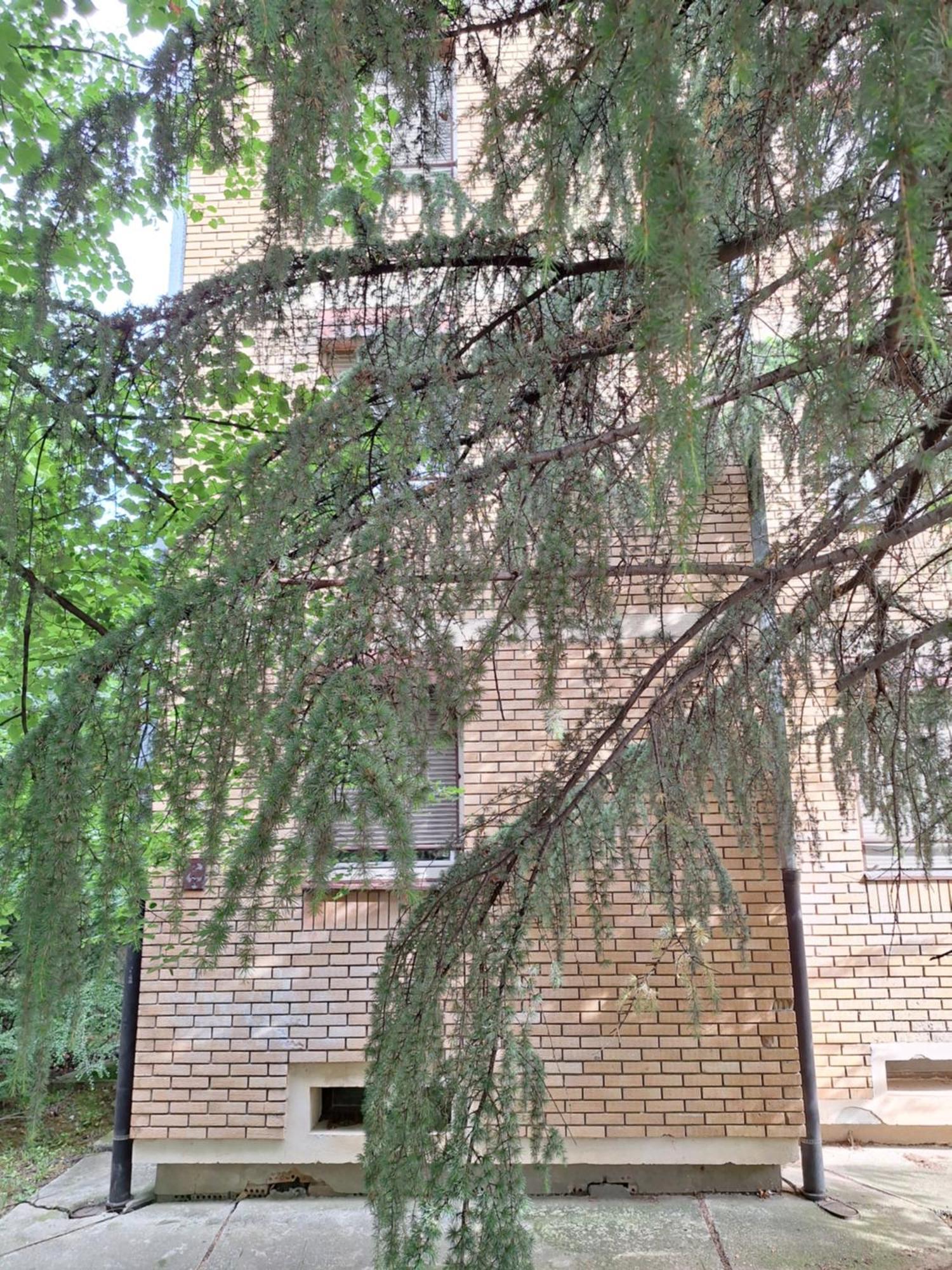 Rivijera Green Belgrad Exterior foto